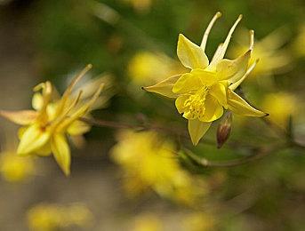 《烤肉模拟器》确定8月31日登陆Switch 与PC版互通